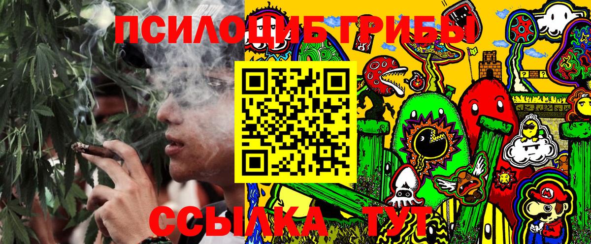 Псилоцибиновые грибы MAGIC MUSHROOMS Чайковский