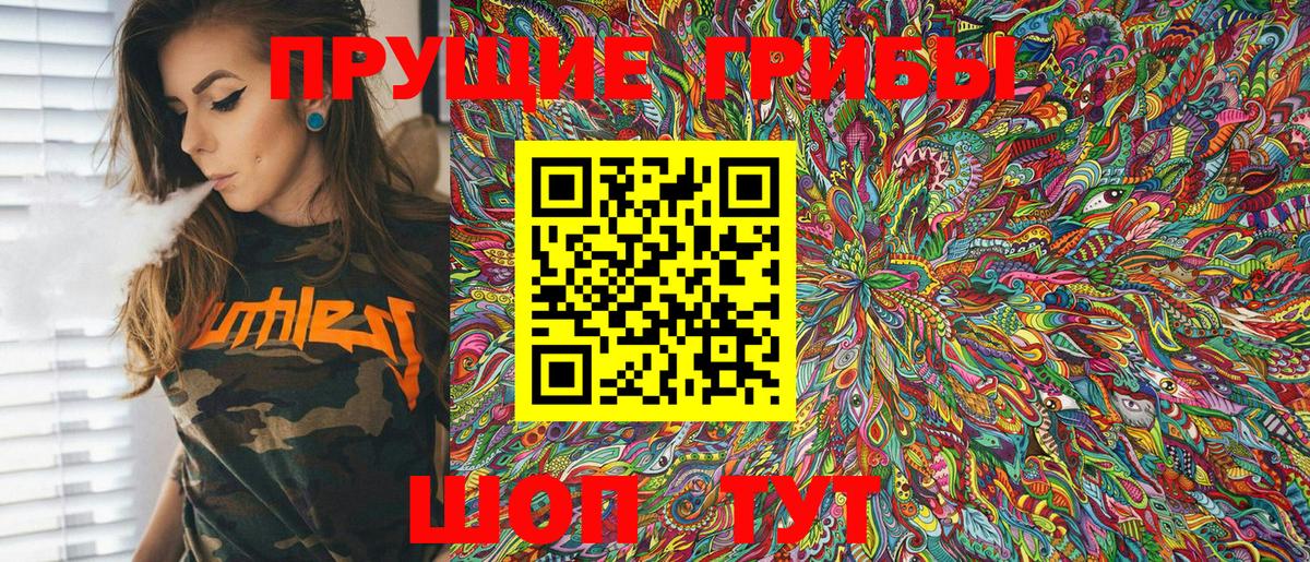 Галлюциногенные грибы MAGIC MUSHROOMS  Вход с VPN  Чайковский 